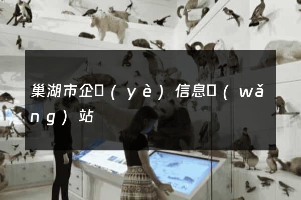 巢湖市企業(yè)信息網(wǎng)站