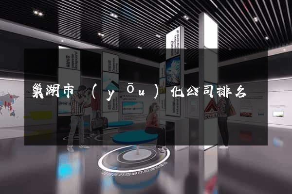 巢湖市優(yōu)化公司排名