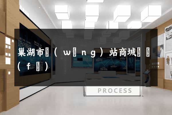 巢湖市網(wǎng)站商城開發(fā)