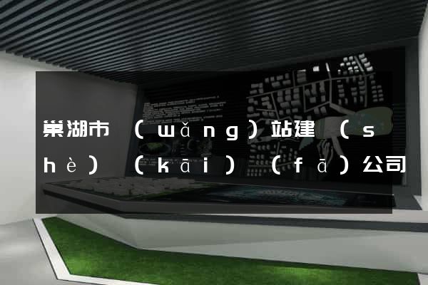 巢湖市網(wǎng)站建設(shè)開(kāi)發(fā)公司
