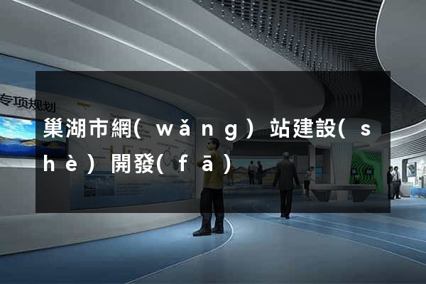 巢湖市網(wǎng)站建設(shè)開發(fā)