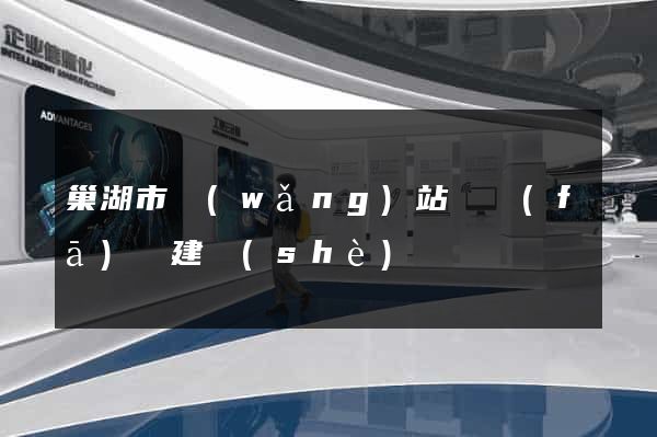 巢湖市網(wǎng)站開發(fā)與建設(shè)