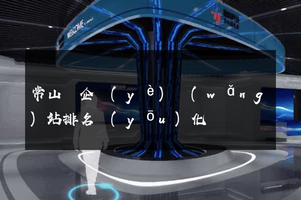 常山縣企業(yè)網(wǎng)站排名優(yōu)化