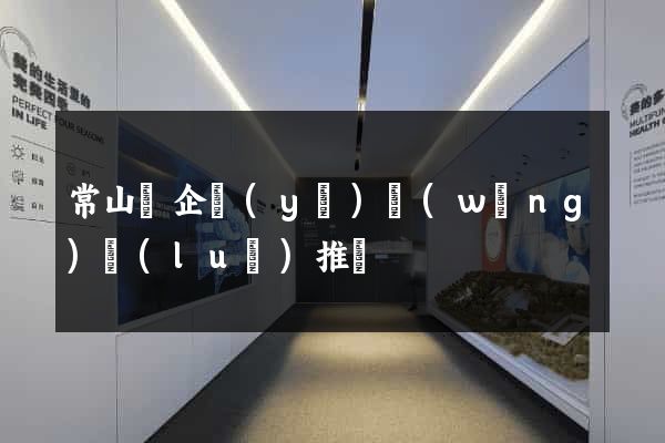 常山縣企業(yè)網(wǎng)絡(luò)推廣