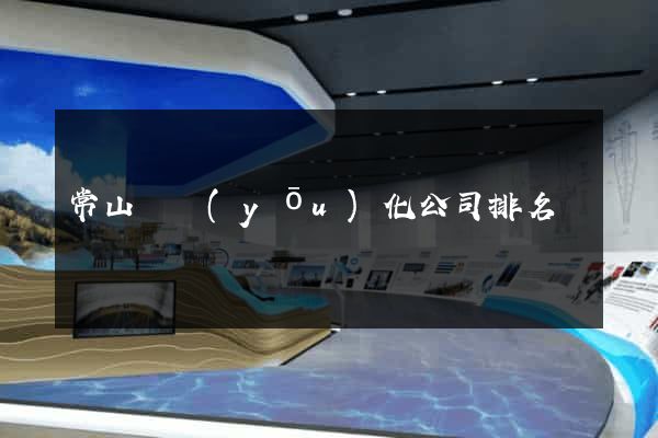 常山縣優(yōu)化公司排名