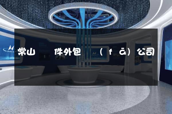 常山縣軟件外包開發(fā)公司