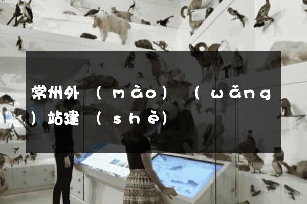 常州外貿(mào)網(wǎng)站建設(shè)