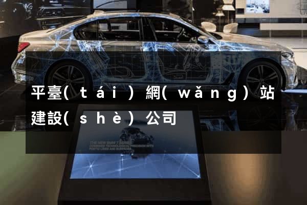 平臺(tái)網(wǎng)站建設(shè)公司
