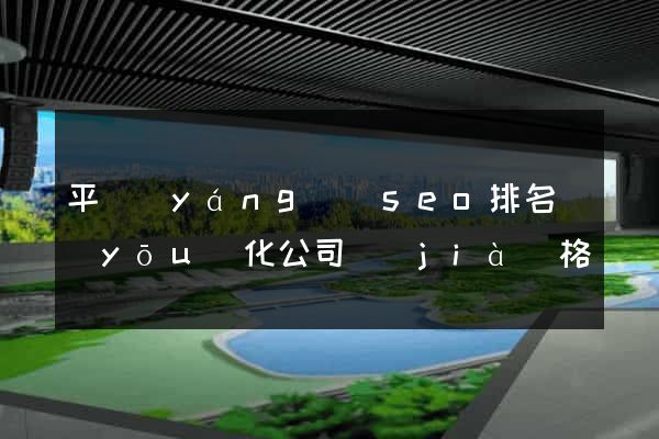 平陽(yáng)縣seo排名優(yōu)化公司價(jià)格