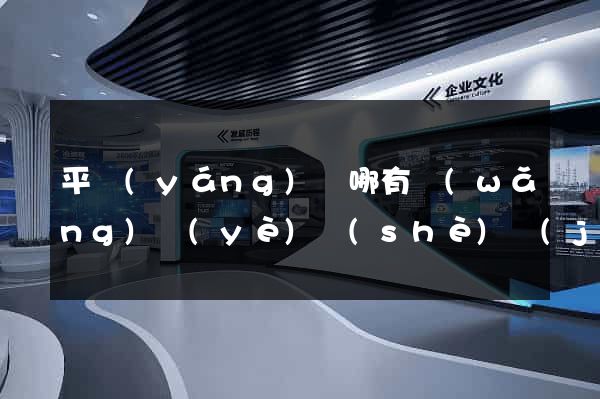 平陽(yáng)縣哪有網(wǎng)頁(yè)設(shè)計(jì)公司