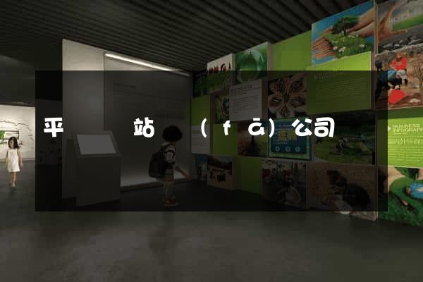 平陽縣網站開發(fā)公司