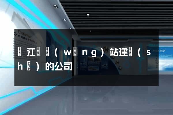 廬江縣網(wǎng)站建設(shè)的公司