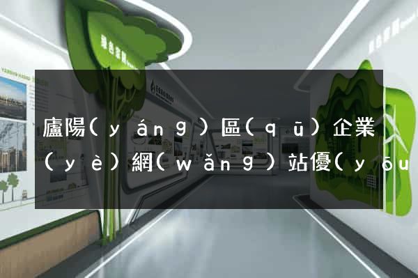 廬陽(yáng)區(qū)企業(yè)網(wǎng)站優(yōu)化