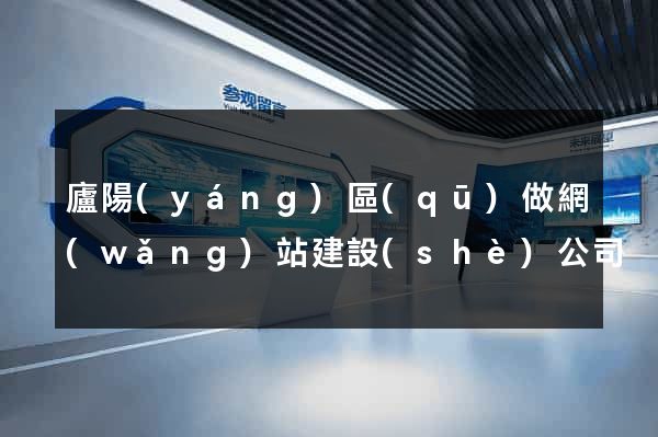廬陽(yáng)區(qū)做網(wǎng)站建設(shè)公司