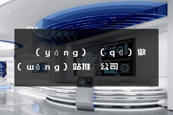 廬陽(yáng)區(qū)做網(wǎng)站推廣公司