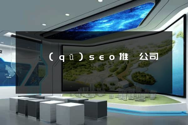 廬陽區(qū)seo推廣公司