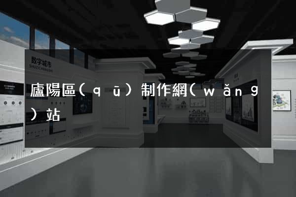 廬陽區(qū)制作網(wǎng)站