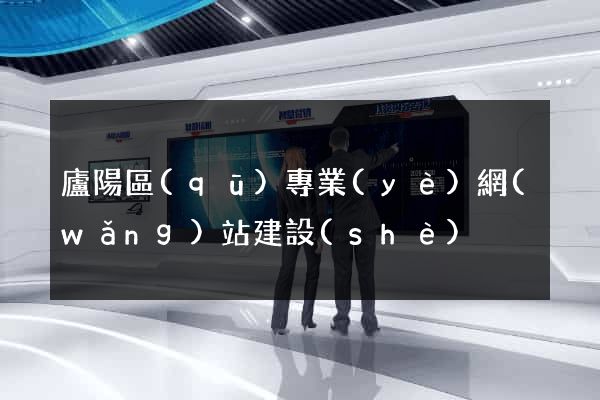 廬陽區(qū)專業(yè)網(wǎng)站建設(shè)