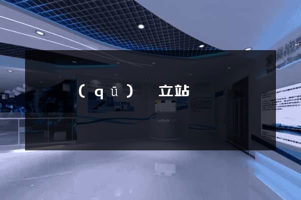 廬陽區(qū)獨立站運營