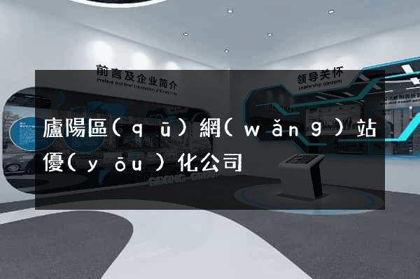 廬陽區(qū)網(wǎng)站優(yōu)化公司