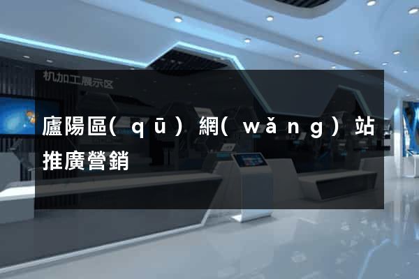廬陽區(qū)網(wǎng)站推廣營銷