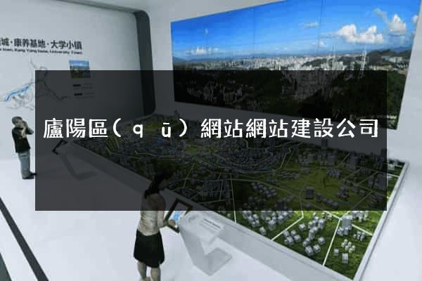 廬陽區(qū)網站網站建設公司