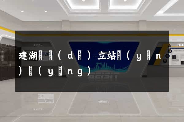 建湖縣獨(dú)立站運(yùn)營(yíng)