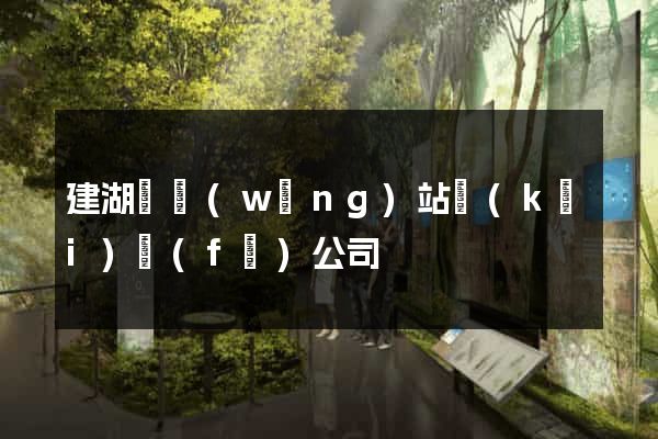建湖縣網(wǎng)站開(kāi)發(fā)公司
