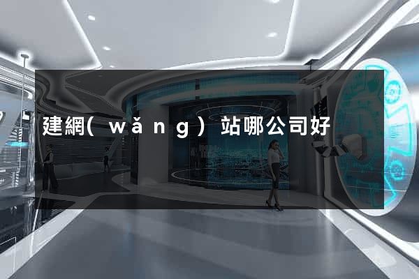 建網(wǎng)站哪公司好