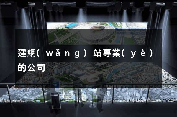 建網(wǎng)站專業(yè)的公司