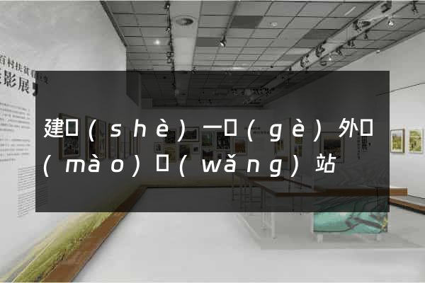 建設(shè)一個(gè)外貿(mào)網(wǎng)站