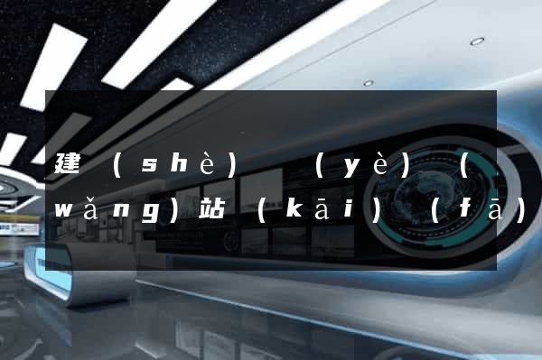 建設(shè)專業(yè)網(wǎng)站開(kāi)發(fā)公司