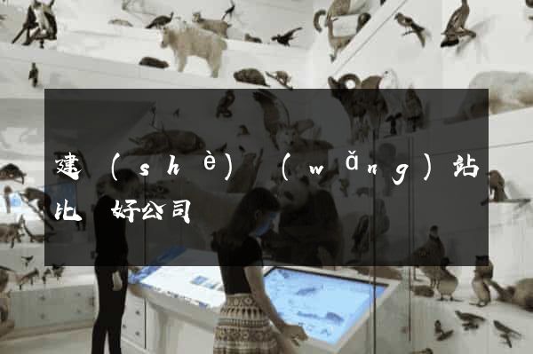 建設(shè)網(wǎng)站比較好公司