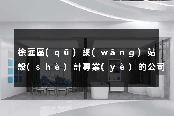 徐匯區(qū)網(wǎng)站設(shè)計專業(yè)的公司