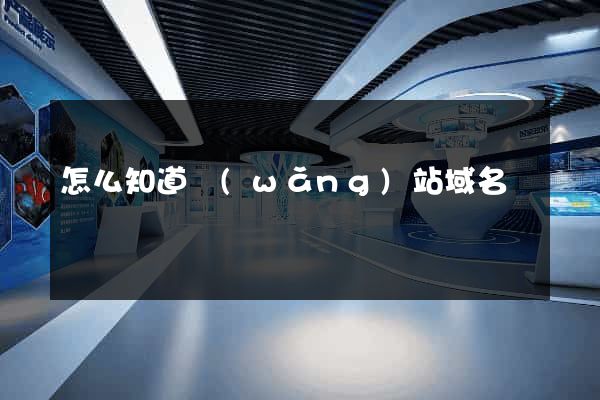 怎么知道網(wǎng)站域名