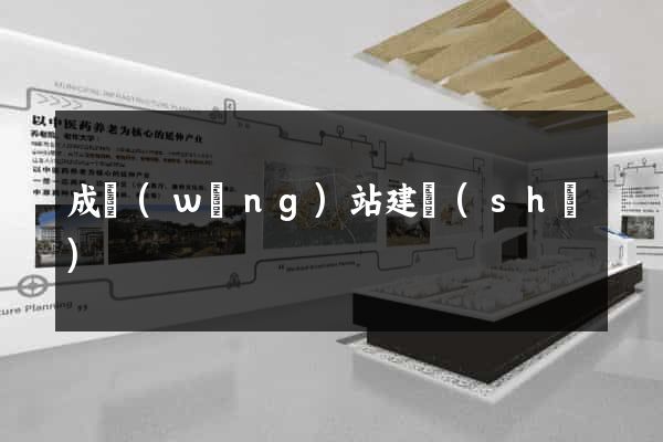 成網(wǎng)站建設(shè)