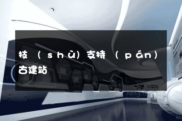 技術(shù)支持盤(pán)古建站
