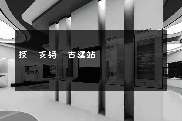 技術支持盤古建站