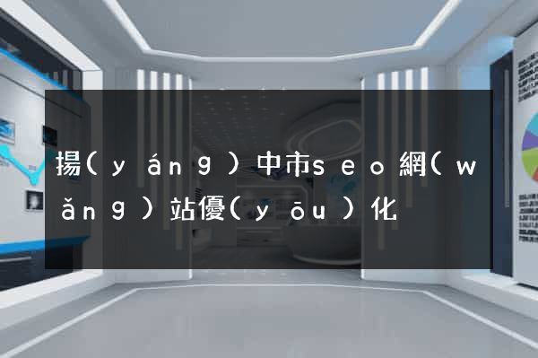 揚(yáng)中市seo網(wǎng)站優(yōu)化