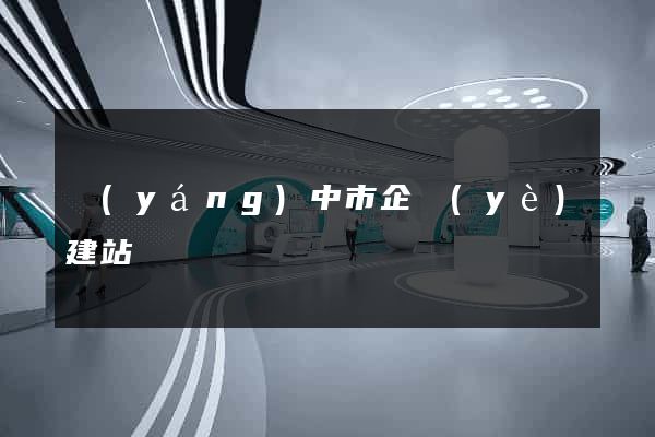 揚(yáng)中市企業(yè)建站