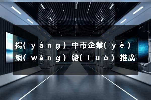 揚(yáng)中市企業(yè)網(wǎng)絡(luò)推廣