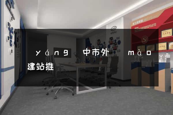 揚(yáng)中市外貿(mào)建站推廣