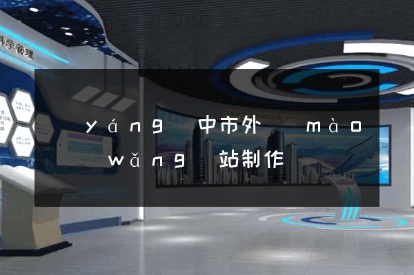 揚(yáng)中市外貿(mào)網(wǎng)站制作