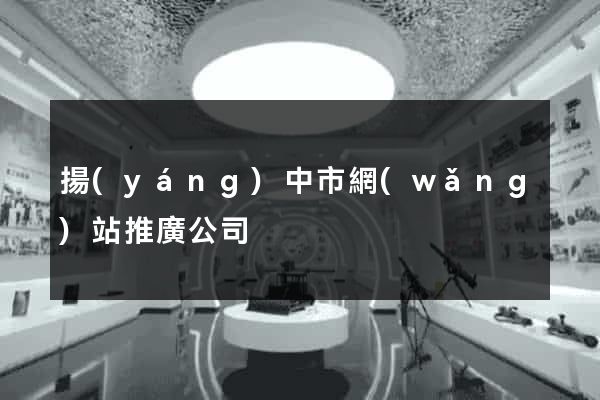 揚(yáng)中市網(wǎng)站推廣公司