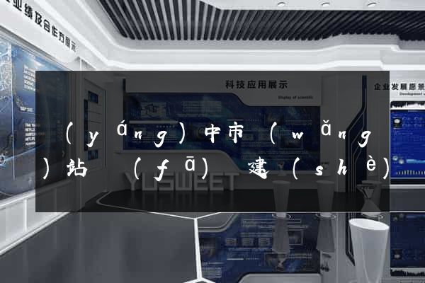 揚(yáng)中市網(wǎng)站開發(fā)與建設(shè)
