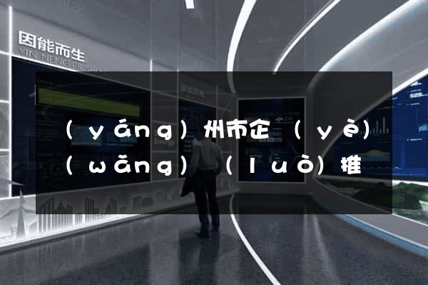 揚(yáng)州市企業(yè)網(wǎng)絡(luò)推廣