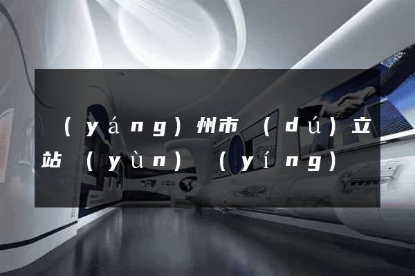 揚(yáng)州市獨(dú)立站運(yùn)營(yíng)