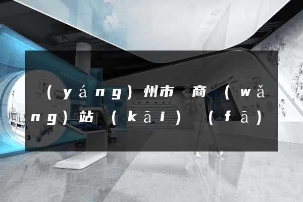 揚(yáng)州市電商網(wǎng)站開(kāi)發(fā)
