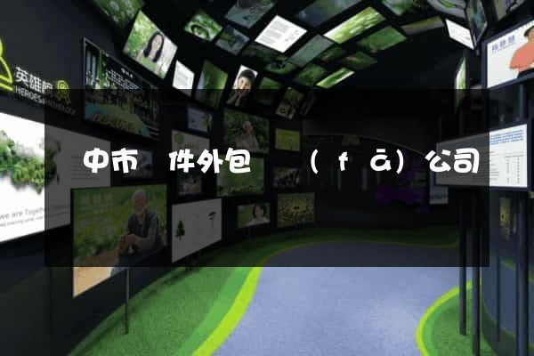 揚中市軟件外包開發(fā)公司