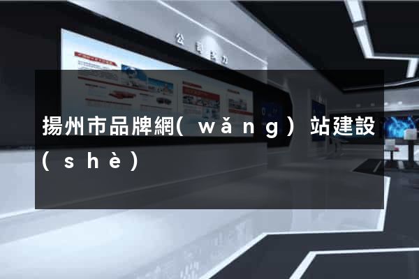 揚州市品牌網(wǎng)站建設(shè)